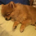 Стикер Luna - 5