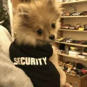 Стикер Luna - 2