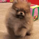 Стикер Luna - 3