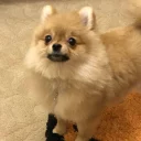 Стикер Luna - 10