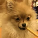 Стикер Luna - 4