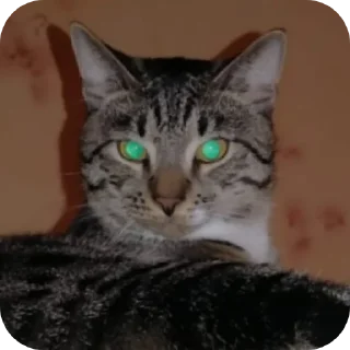 Sticker Markiz3 - 10