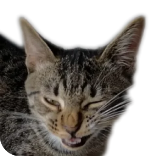 Sticker МаркиzZzzZ2 - 4