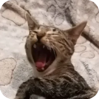 Sticker МаркиzZzzZ2 - 3