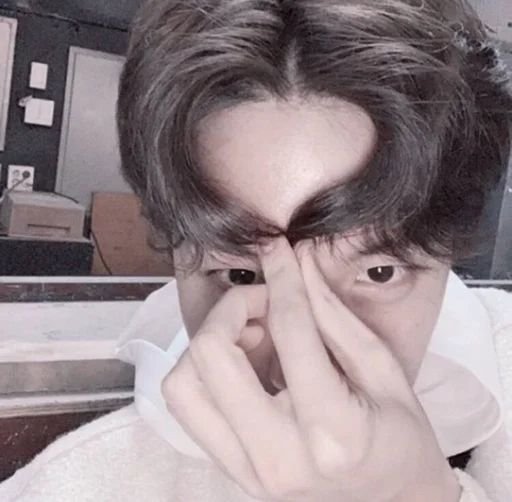 Человек человеческое лицо комнатный