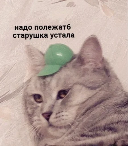 Sticker Marmeladze49 - 1