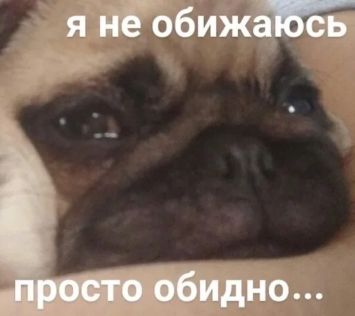 Sticker Marmeladze49 - 1