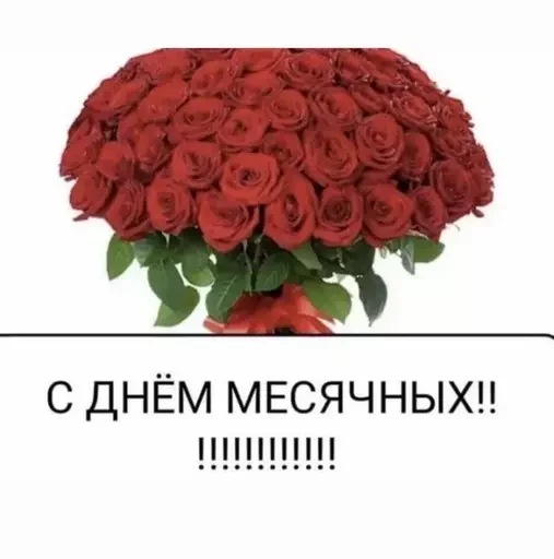 Sticker Marmeladze49 - 1