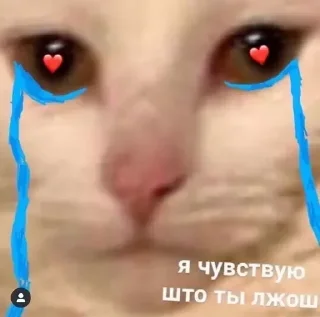 Sticker Мармеладзе - 7