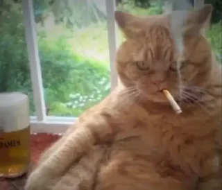 Sticker Мармеладзе - 4