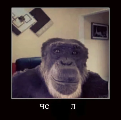 Стикер Ebobobo 2.0 - 4