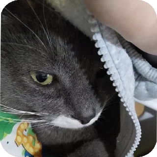 Sticker Марс - 0