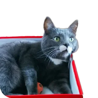 Sticker Марс - 5