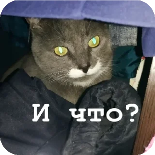 Sticker Марс - 6