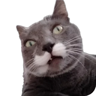 Sticker Марс - 2