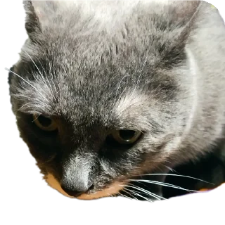 Sticker Марс - 4