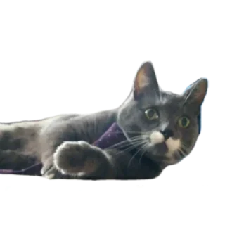 Sticker Марс - 3