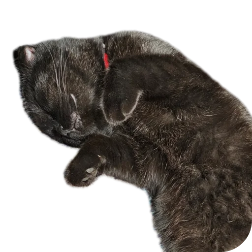 Sticker MarsSonya - 1