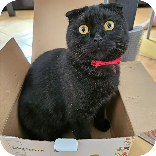 Sticker MarsSonya - 1