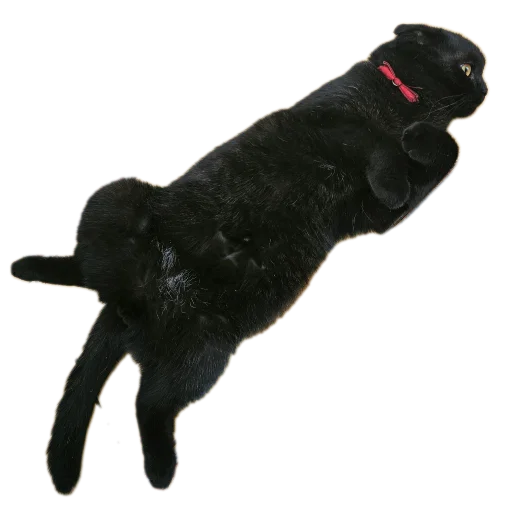 Sticker MarsSonya - 1