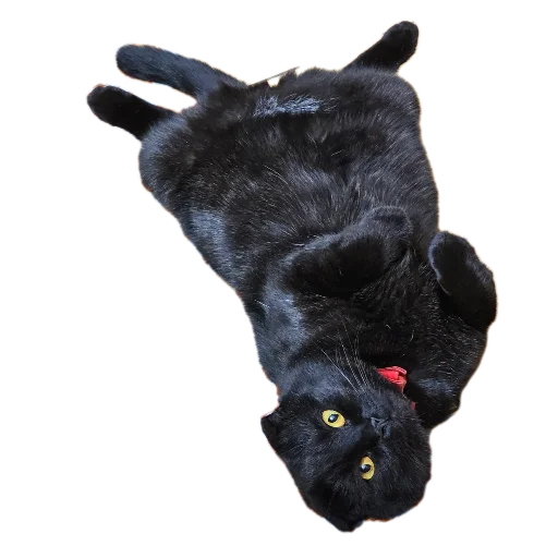 Sticker MarsSonya - 1