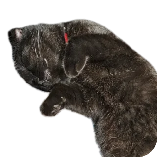 Стикер Mars&Sonya - 9