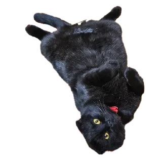 Стикер Mars&Sonya - 2