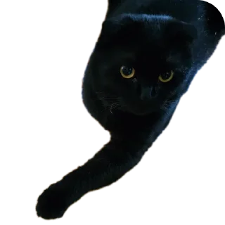 Стикер Mars&Sonya - 11