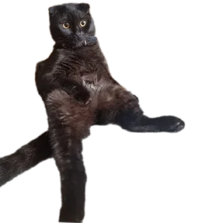 Стикер Mars&Sonya - 8