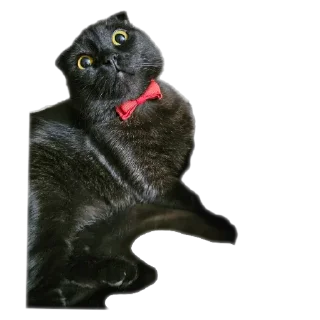 Стикер Mars&Sonya - 5