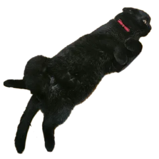 Стикер Mars&Sonya - 4