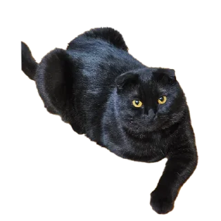 Стикер Mars&Sonya - 3