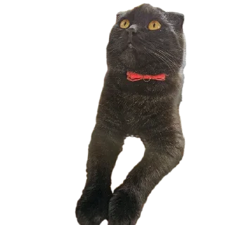 Стикер Mars&Sonya - 1