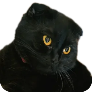 Стикер Mars&Sonya - 10