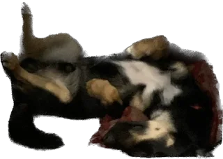 Sticker Бог тапков - 2