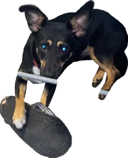 Sticker Бог тапков - 4