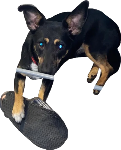 Бог тапков - 