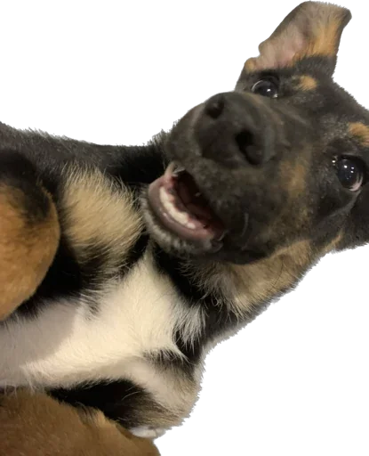 Sticker Бог тапков - 3