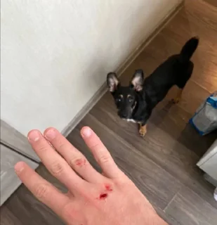 Sticker Бог тапков - 0