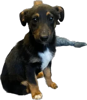 Sticker Бог тапков - 11