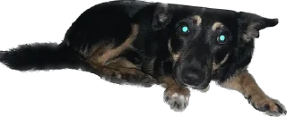 Sticker Бог тапков - 1