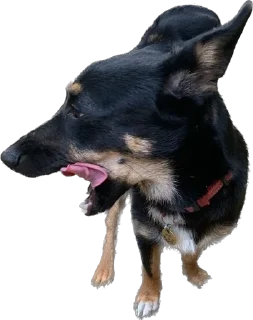 Sticker Бог тапков - 10