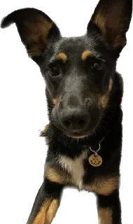 Sticker Бог тапков - 8