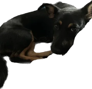 Sticker Бог тапков - 5