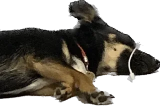 Sticker Бог тапков - 7