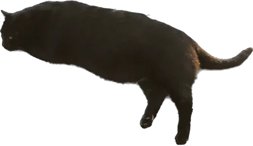 Sticker Martikonyaaa - 1