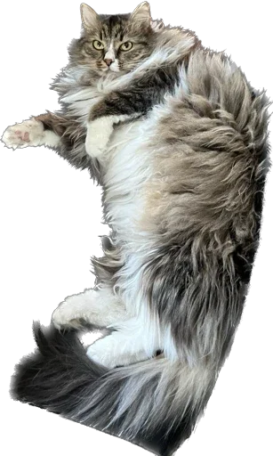 Стикер Martikonyaaa - 1