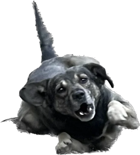 Sticker Martikonyaaa - 1