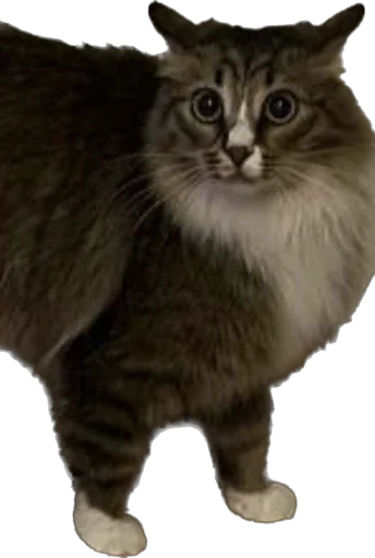 Стикер Martikonyaaa - 1