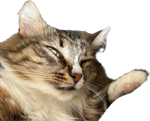 Стикер Martikonyaaa - 1